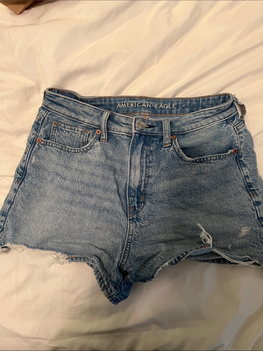 American Eagle Outfitters Vintage Light Blue Denim Cutoff Shorts